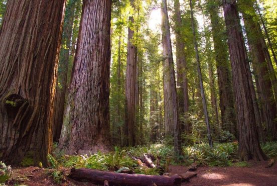 best hikes northern california